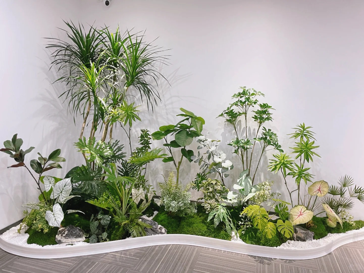 专业植物出租，宁波镇海绿植租赁的不二之选